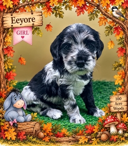 Eeyore