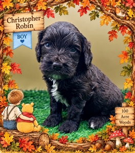 Christopher Robin