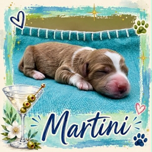 Martini