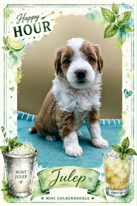 Julep
