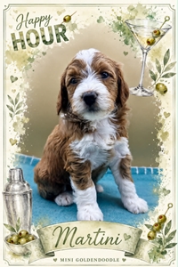 Martini
