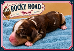 Rocky Road - 