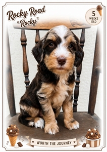 Rocky Road - 