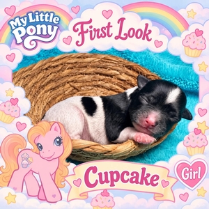 Cupcake