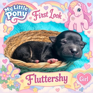 Fluttershy