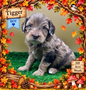 Tigger