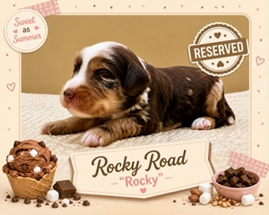 Rocky Road - 